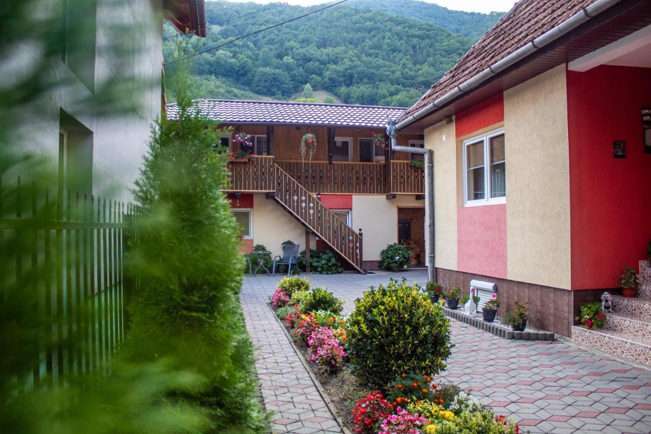 Pensiunea Casa Ioana Şugag Zewnętrze zdjęcie