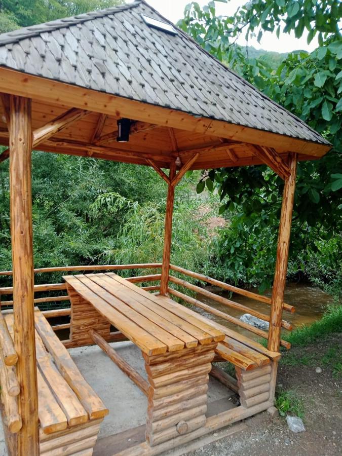 Pensiunea Casa Ioana Şugag Zewnętrze zdjęcie