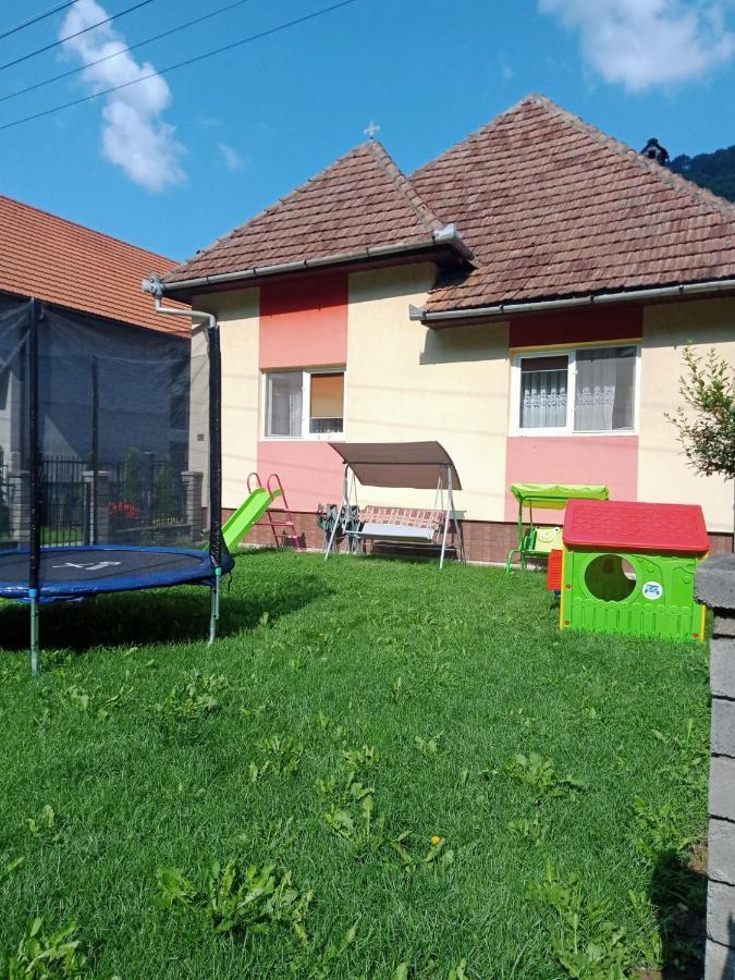 Pensiunea Casa Ioana Şugag Zewnętrze zdjęcie