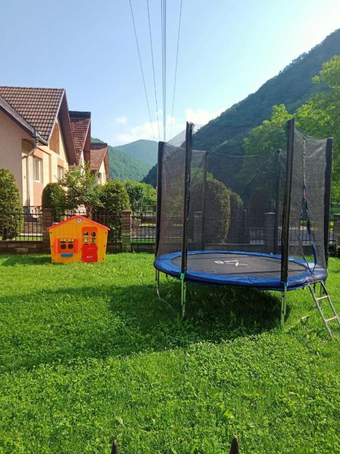 Pensiunea Casa Ioana Şugag Zewnętrze zdjęcie