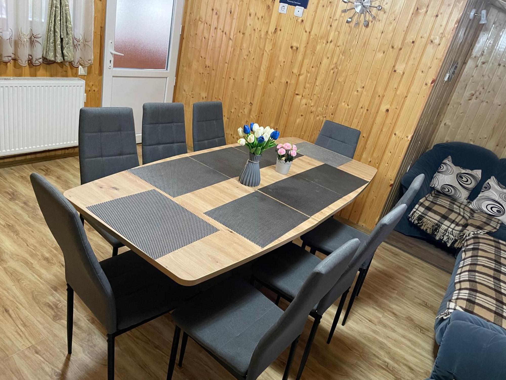 Pensiunea Casa Ioana Şugag Zewnętrze zdjęcie